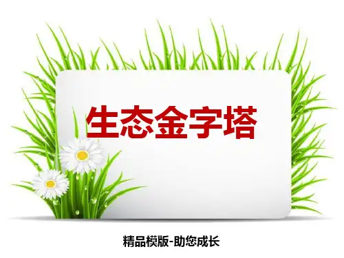 生态金字塔-PPT-课件资料