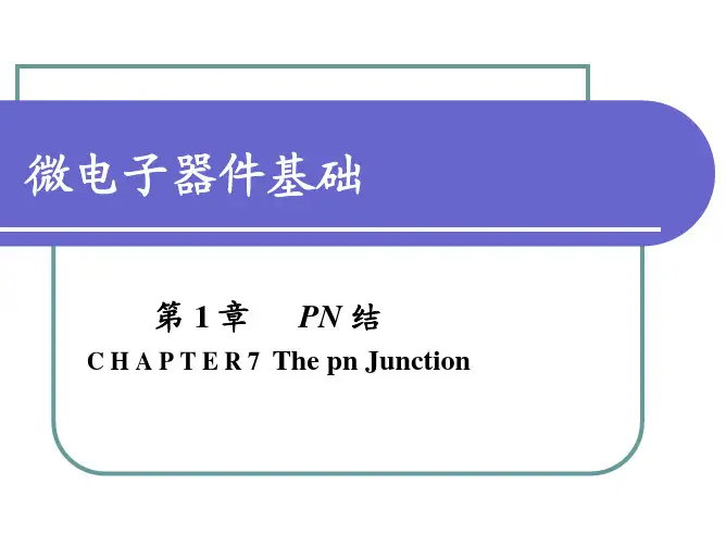 微电子器件基础-PN结