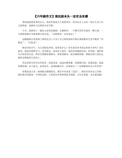 【六年级作文】观这段木头一定有虫有感