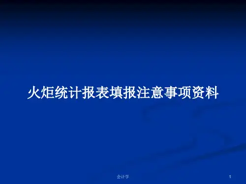 火炬统计报表填报注意事项资料PPT学习教案