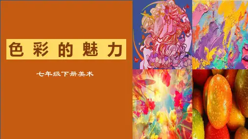 人教版美术七年级下册第二单元第一课 《色彩的魅力》PPT