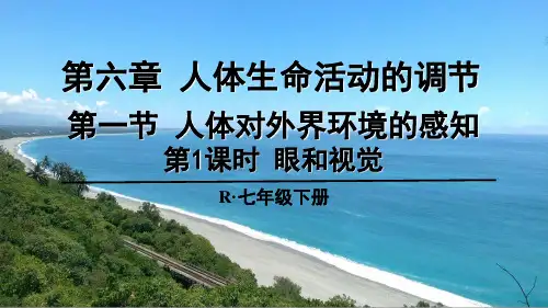 《眼和视觉》PPT课件【精品】