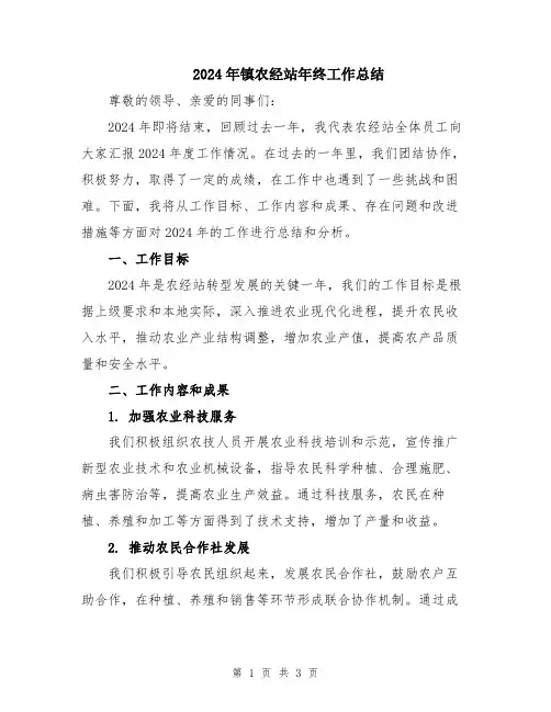 2024年镇农经站年终工作总结
