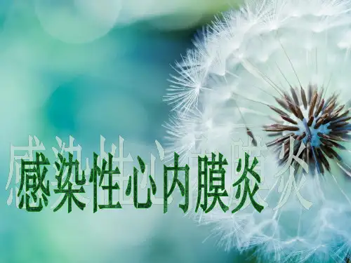 感染性心内膜炎61471ppt课件