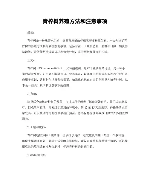 青柠树养殖方法和注意事项