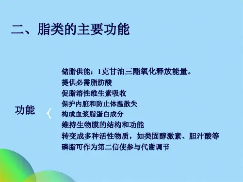 脂类代谢一ppt(共44张PPT)
