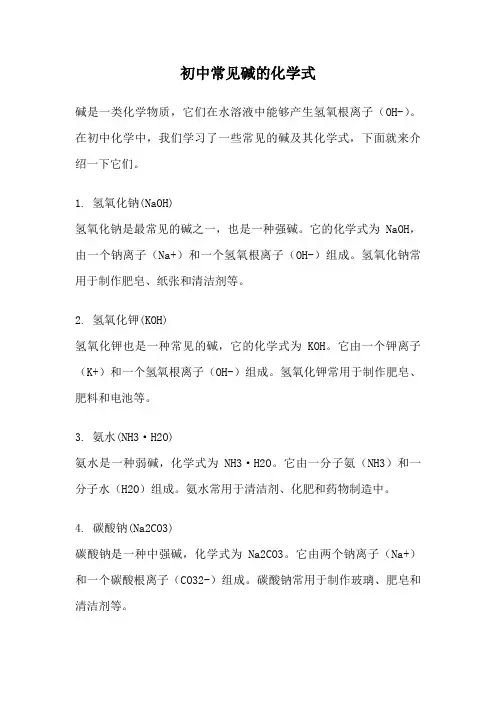 初中常见碱的化学式