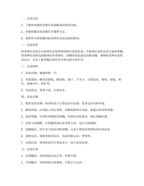 牛蛙毁髓实验报告