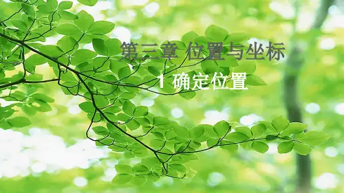 八年级数学上册 第三章 位置与坐标 1 确定位置课件上册数学课件