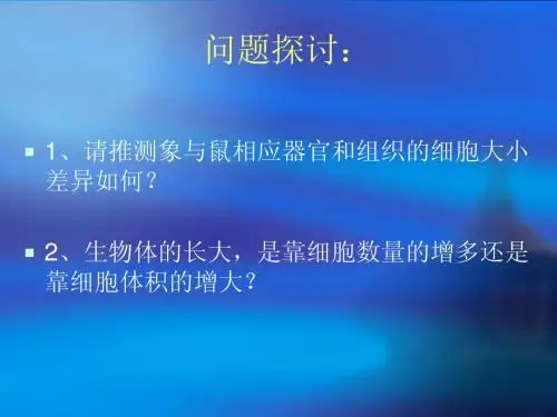 人教版教学课件第六章第一节细胞增殖
