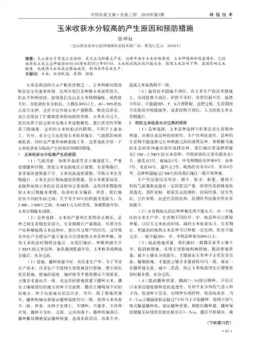 玉米收获水分较高的产生原因和预防措施