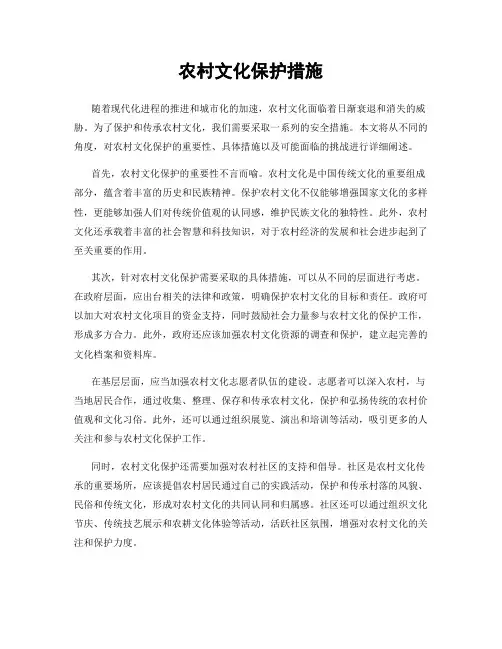 农村文化保护措施