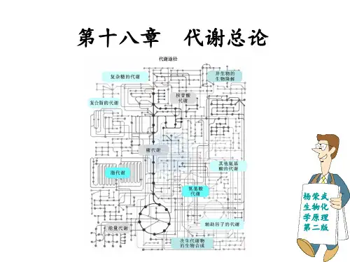 第十八章-代谢总论