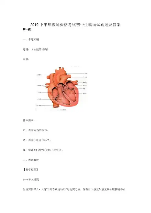 2019下半年教师资格考试初中生物面试真题及答案
