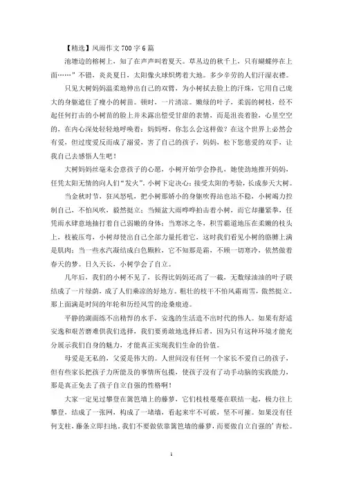风雨优秀作文700字6篇