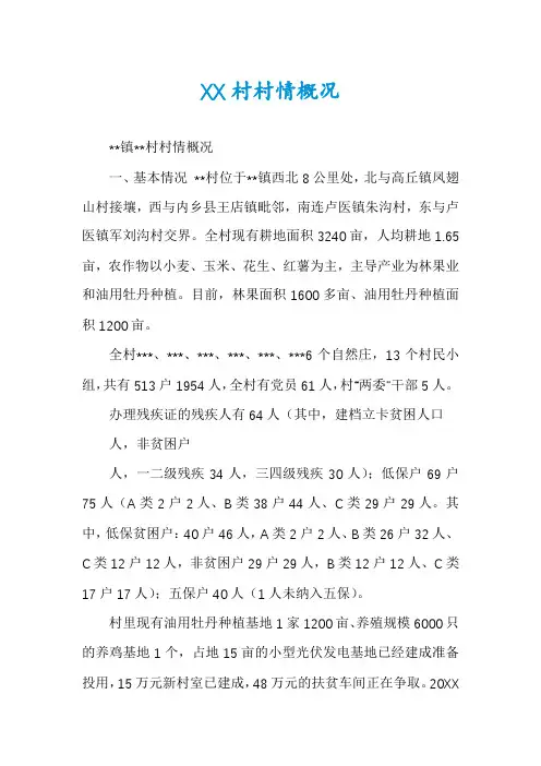 XX村村情概况