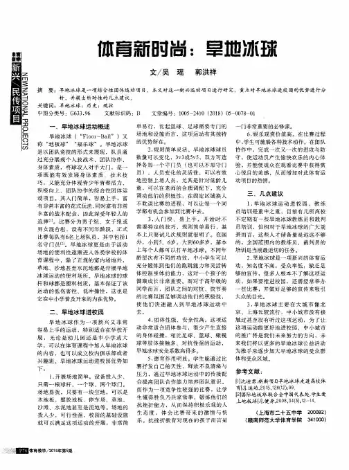体育新时尚：旱地冰球