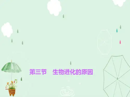 生命起源和生物进化PPT课件2(5份) 人教版2