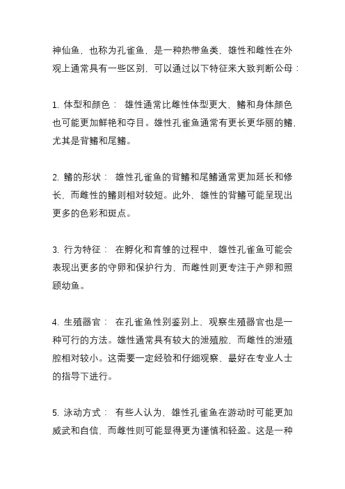 神仙鱼怎么分公母？