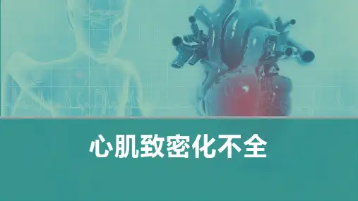 内科学-心肌致密化不全