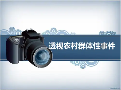 透视农村群体性事件(第四组)