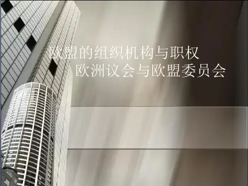 欧盟的组织机构与职权1