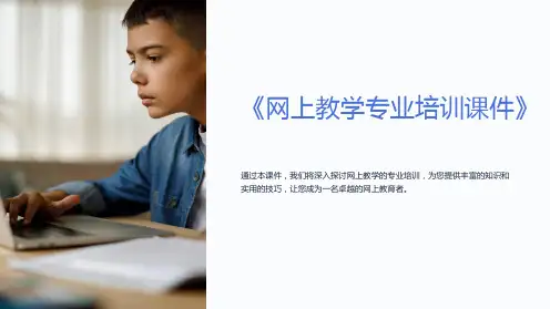 《网上教学专业培训课件》