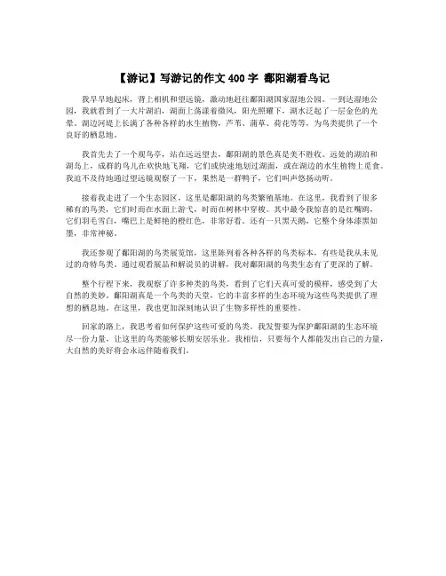 【游记】写游记的作文400字 鄱阳湖看鸟记