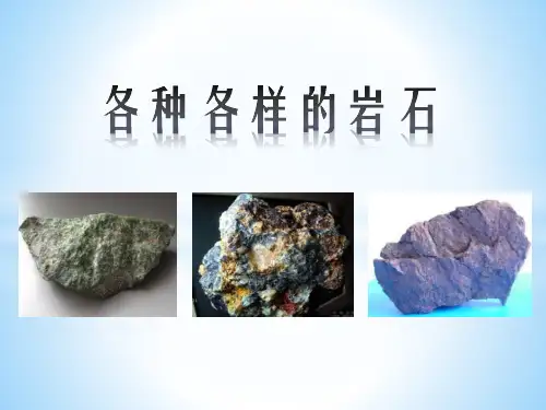 《各种各样的岩石》岩石和矿物课件PPT