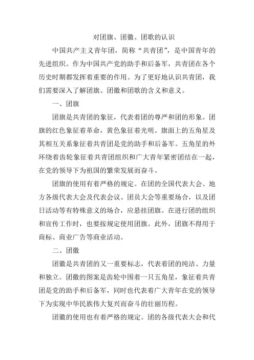 对团旗团徽团歌的认识
