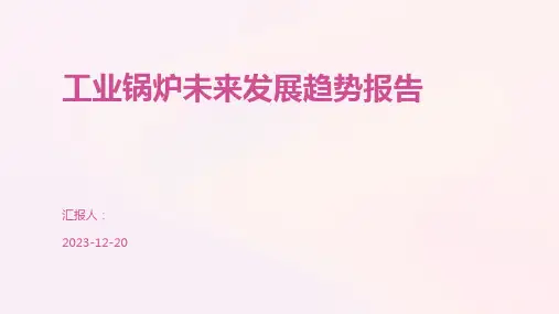 工业锅炉未来发展趋势报告