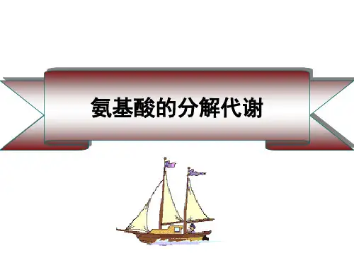 蛋白质降解和氨基酸分解代谢
