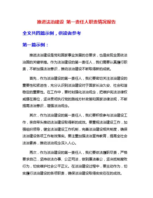 推进法治建设 第一责任人职责情况报告