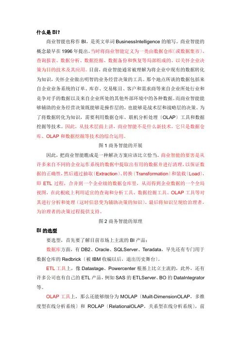 什么是BI