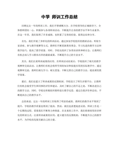 中学 师训工作总结