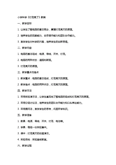 小学科学《灯泡亮了》教案