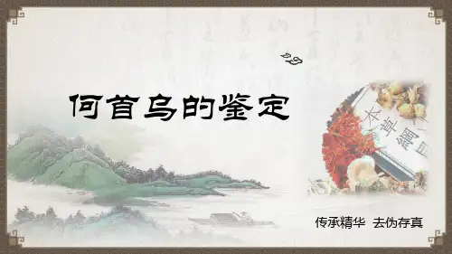 中药鉴定技术-何首乌的鉴定教学课件