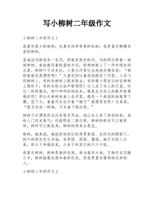写小柳树二年级作文