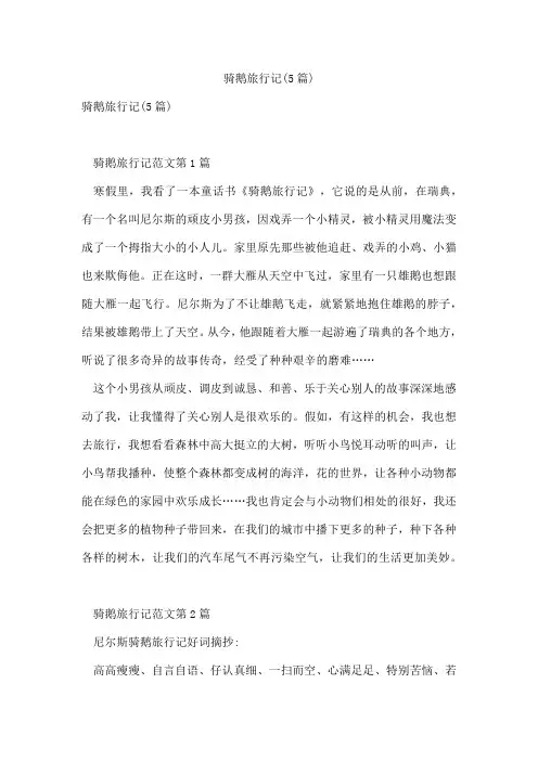 骑鹅旅行记(5篇)