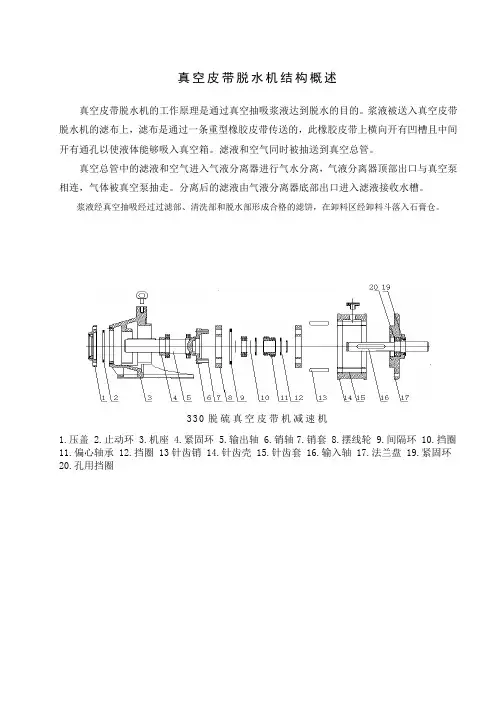 真空皮带脱水机结构概述