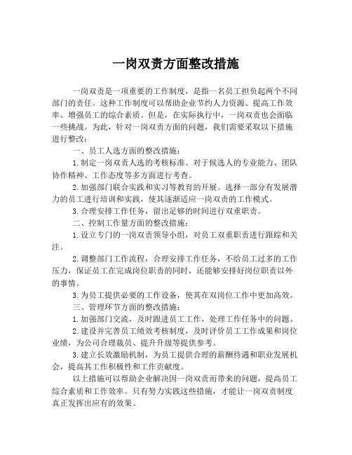 一岗双责方面整改措施