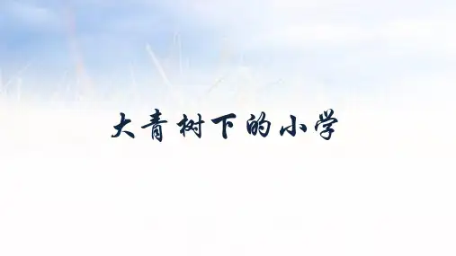《大青树下的小学》ppt课件