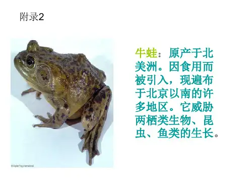 《生物入侵者》