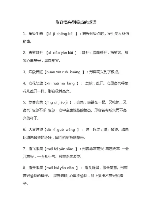 形容高兴到了极点的成语