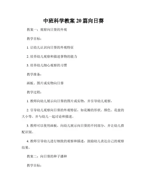中班科学教案20篇向日葵