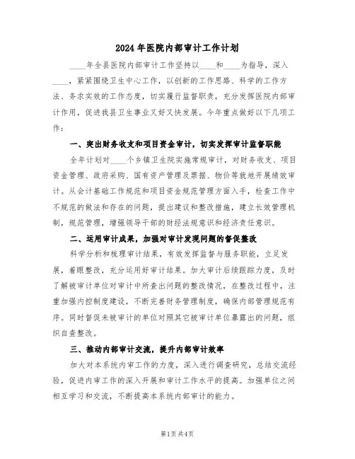 2024年医院内部审计工作计划(2篇)