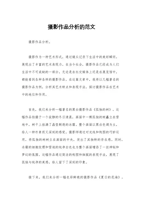 摄影作品分析的范文