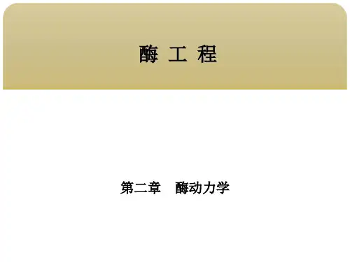 酶工程 第二章酶动力学 第二节影响酶促反应的因素