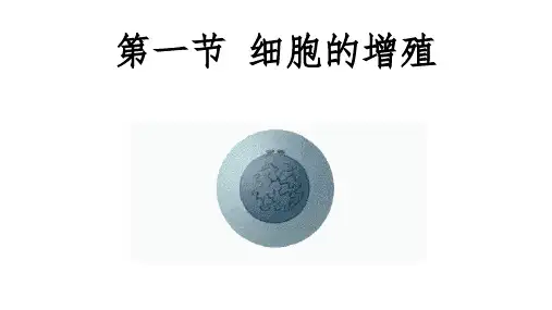 高中生物课件-细胞分裂1(含动图)