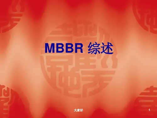 MBBR技术